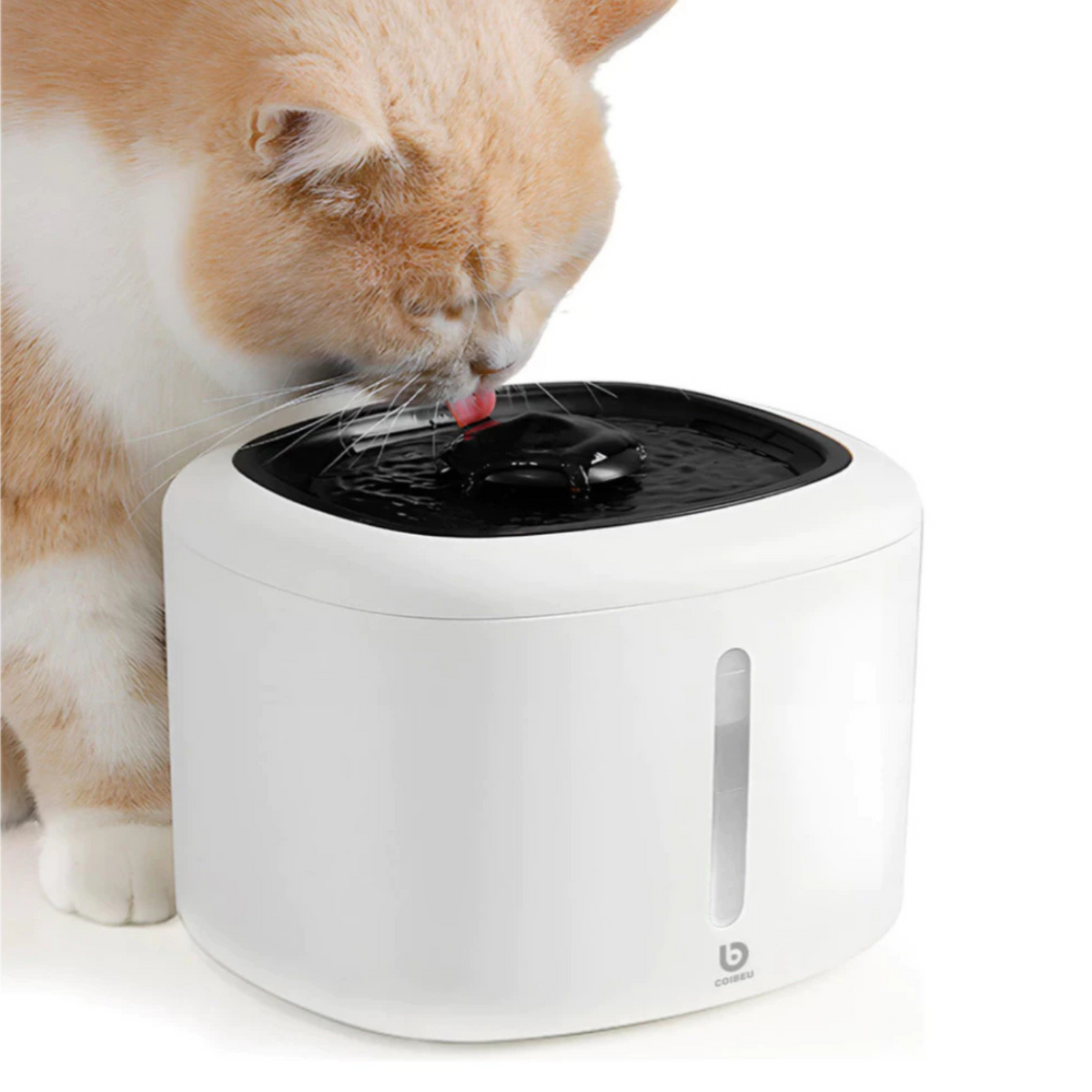 Fonte de Água para Gatos – Automática, com Luz LED e Dispensador Silencioso Coibeu